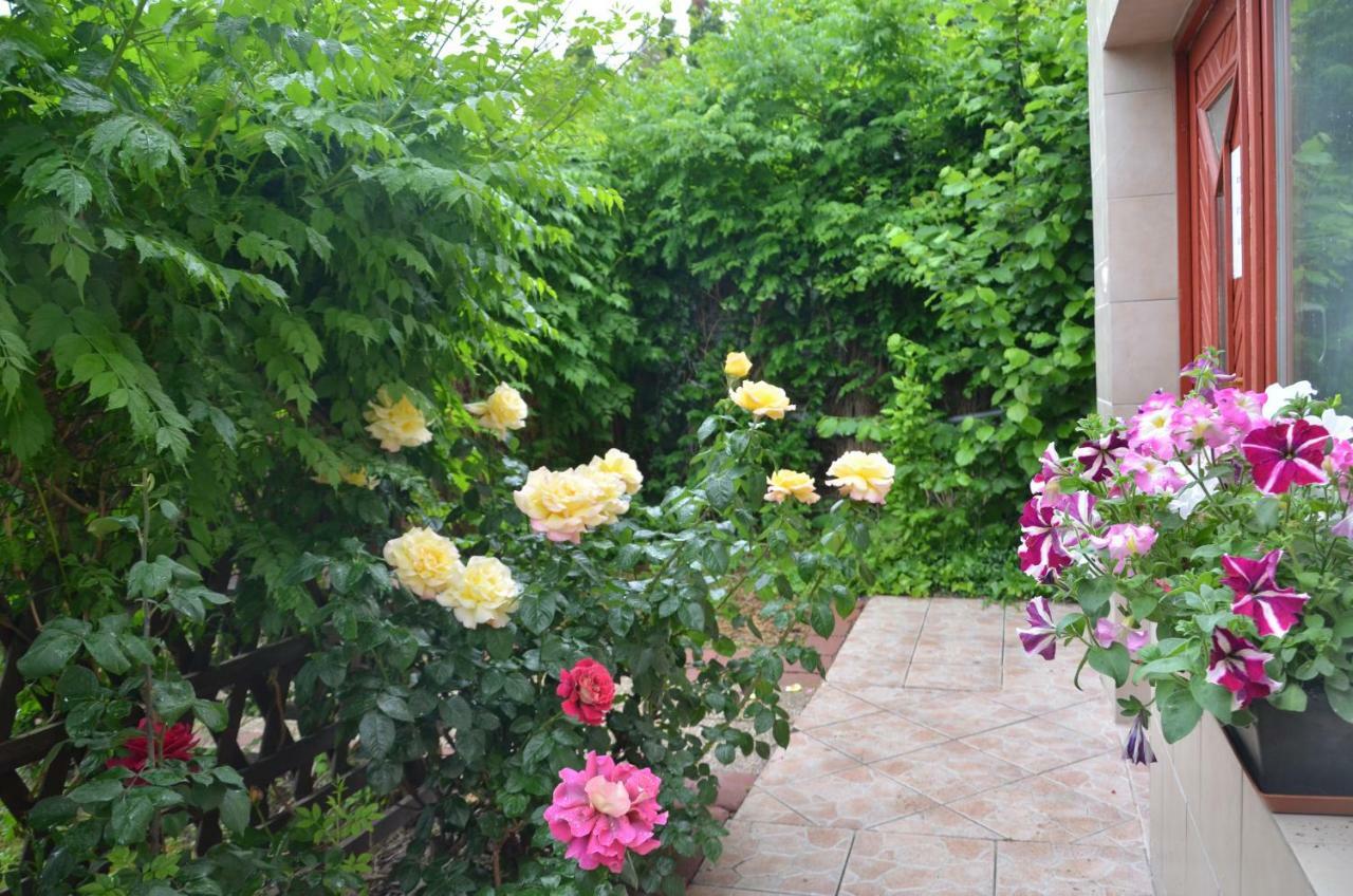 Miklos Fkk Naturist Szigetszentmiklos Exterior photo